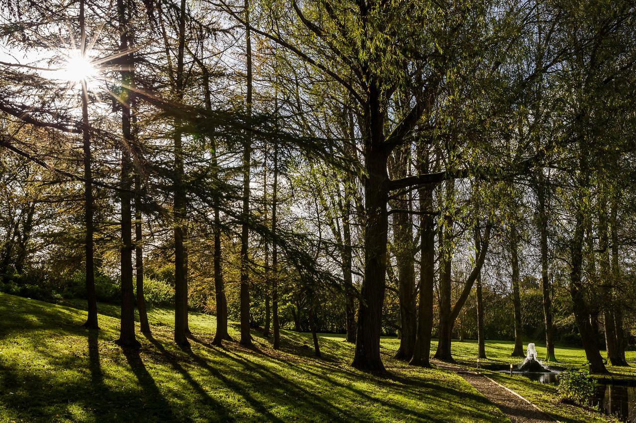 Hornsbury Mill Otel Chard Dış mekan fotoğraf